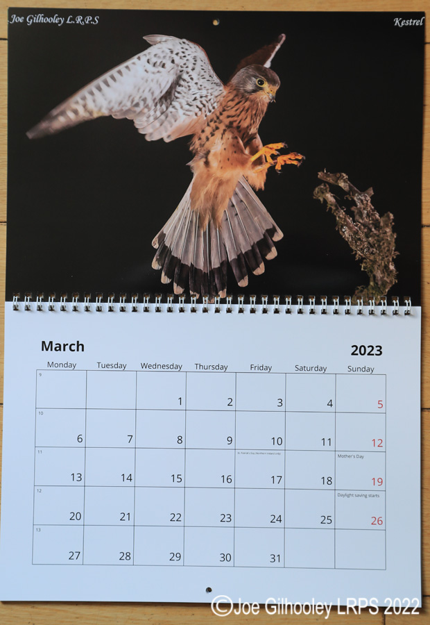 2023  Nature Calendar 