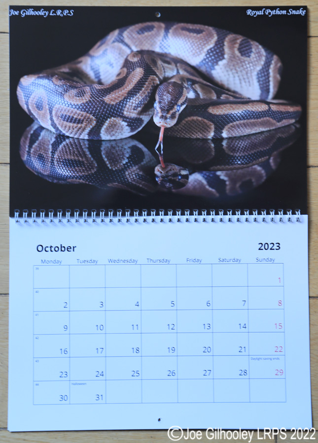 2023  Nature Calendar 