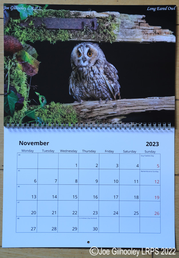 2023  Nature Calendar 