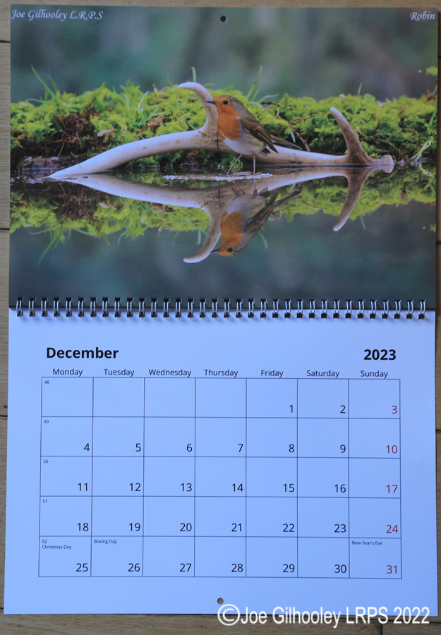 2023  Nature Calendar 