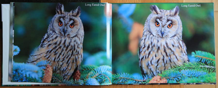 British Owls  Photography Book 
