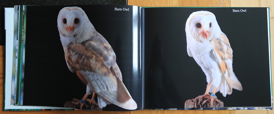 British Owls  Photography Book 