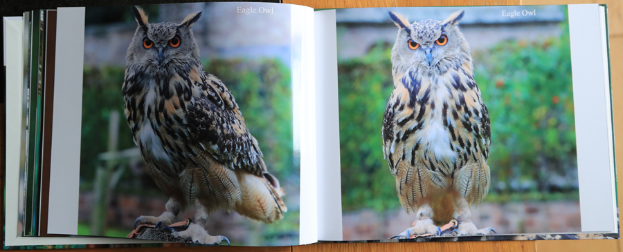 British Owls  Photography Book 