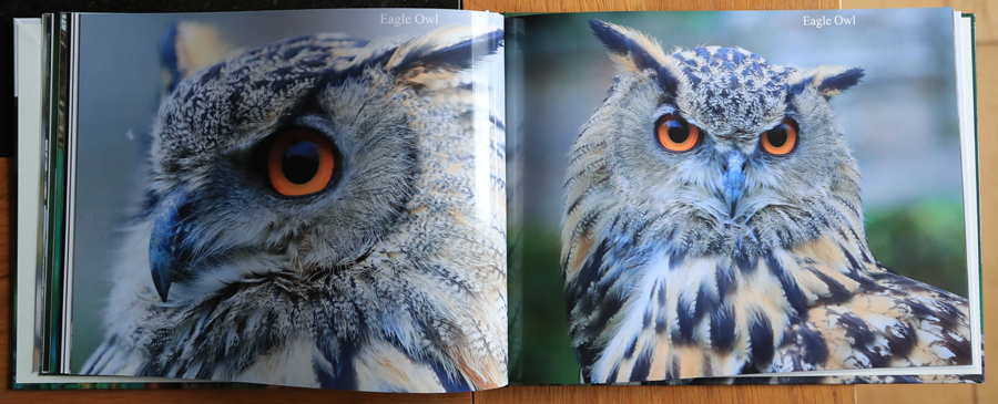 British Owls  Photography Book 