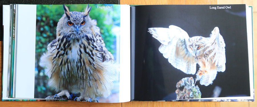 British Owls  Photography Book 