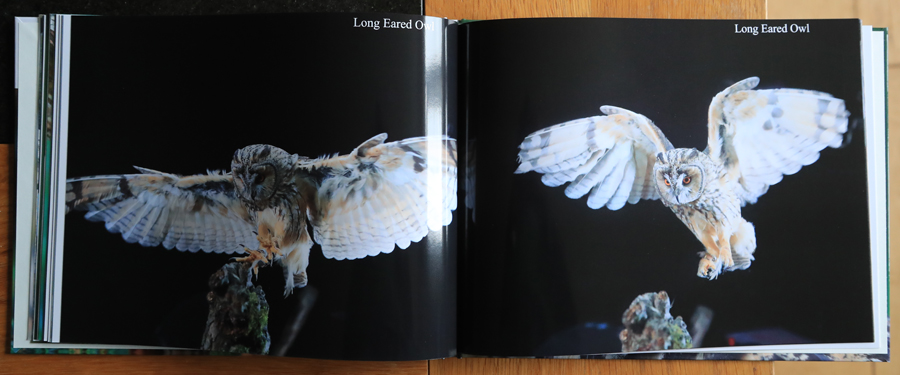 British Owls  Photography Book 
