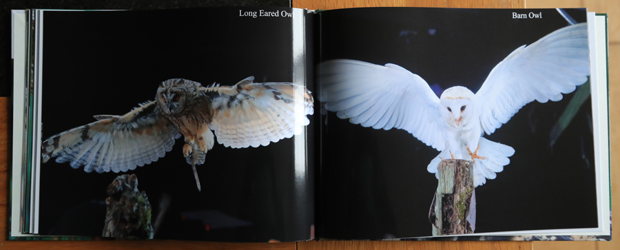 British Owls  Photography Book 