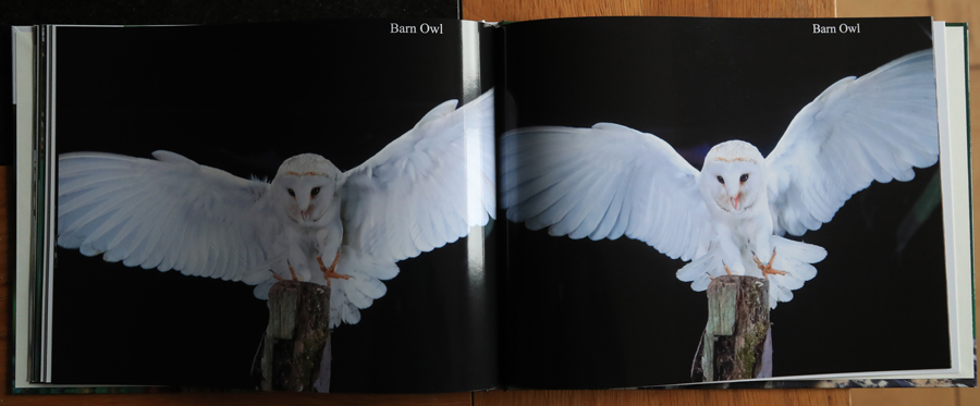 British Owls  Photography Book 