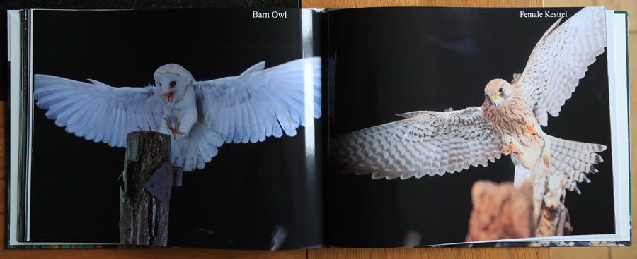 British Owls  Photography Book 