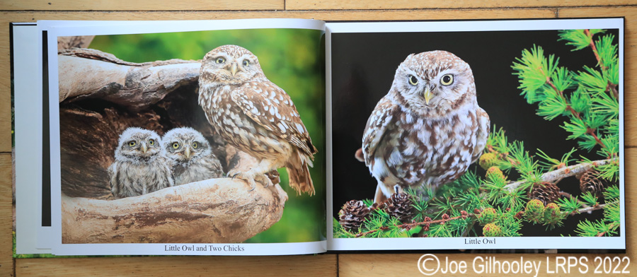 My Nature Photography Book 
