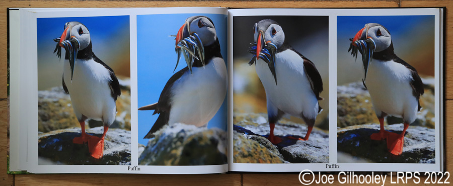 My Nature Photography Book 