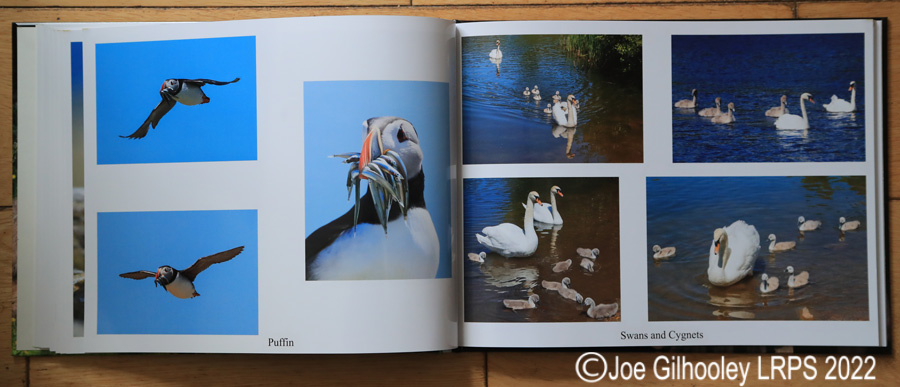 My Nature Photography Book 