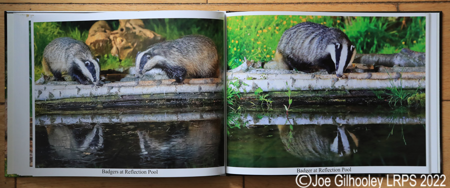 My Nature Photography Book 