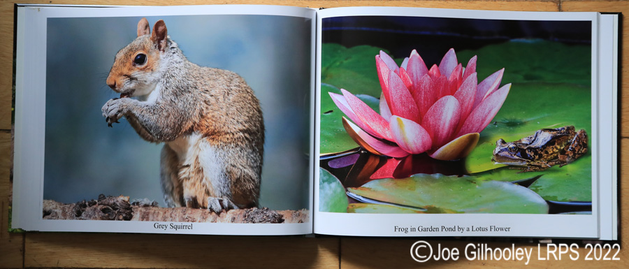 My Nature Photography Book 