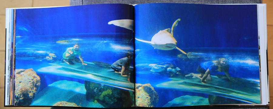 Toronto Holiday 2023  Photography Book 