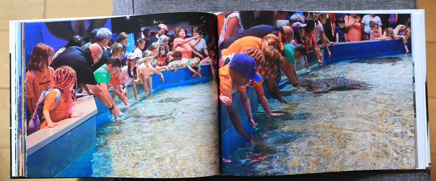 Toronto Holiday 2023  Photography Book 