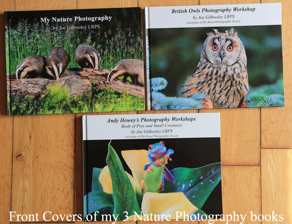 Covers of 4 miscellaneous photo books