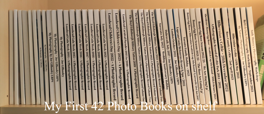 My first 42 photo books on shelf in my room
