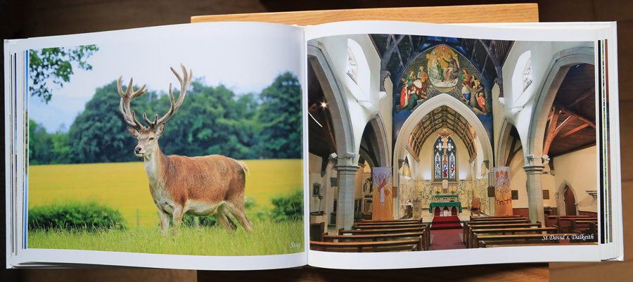 My Photography Book - 1st  Edition