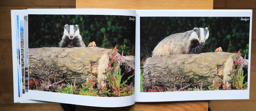 My Photography Book - 6th Edition