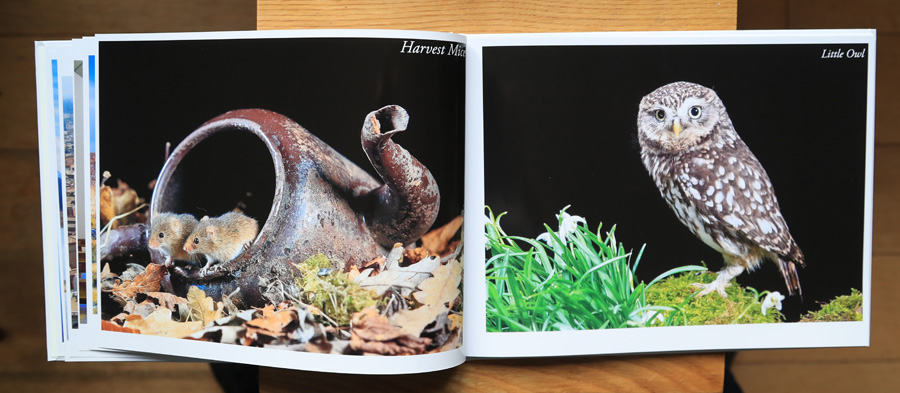 My Photography Book - 6th Edition