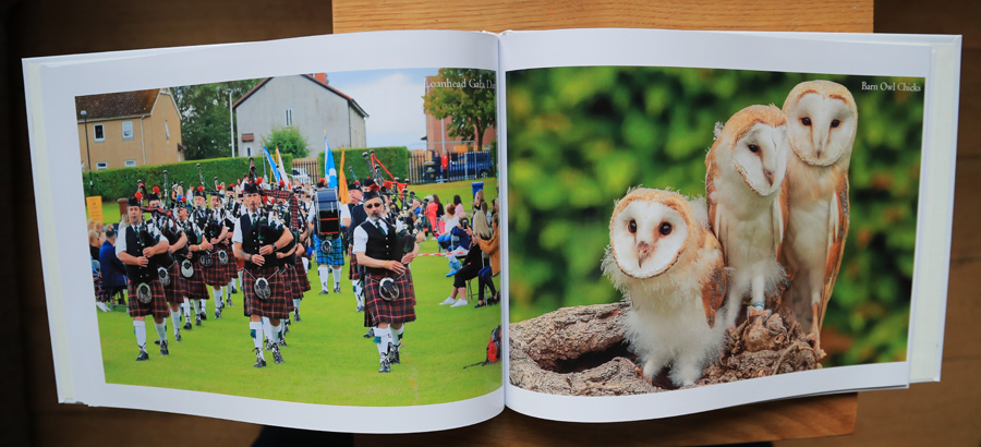 My Photography Book - 7th Edition