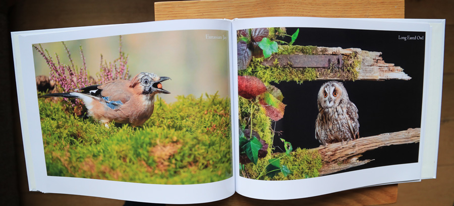 My Photography Book - 7th Edition