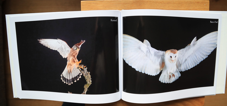 My Photography Book - 7th Edition