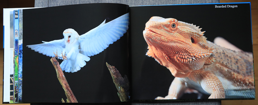 My Photography Book - 9th Edition January 2024 - the inside pages