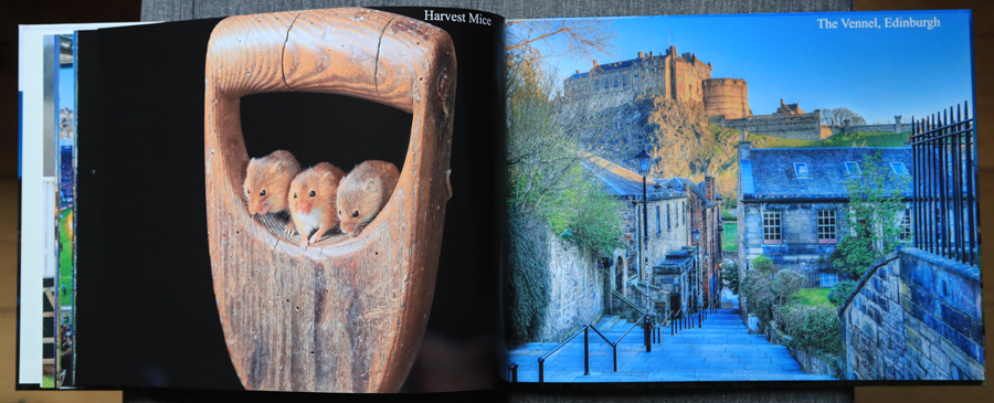 My Photography Book - 9th Edition January 2024 - the inside pages