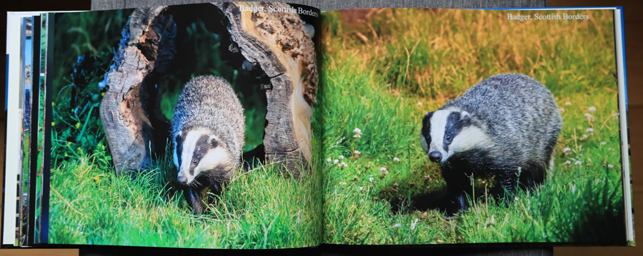 My Photography Book - 9th Edition January 2024 - the inside pages