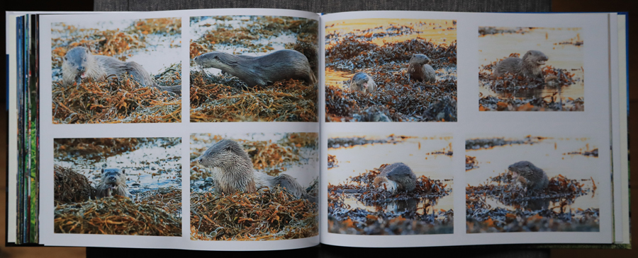 My Photography Book - 9th Edition January 2024 - the inside pages on my Mull photography