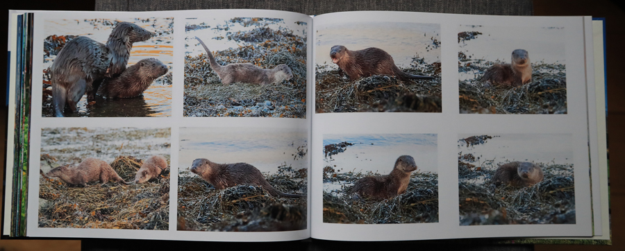 My Photography Book - 9th Edition January 2024 - the inside pages on my Mull photography