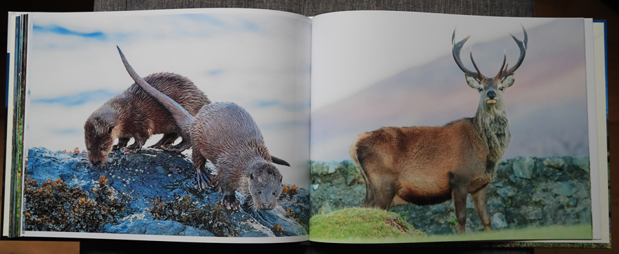 My Photography Book - 9th Edition January 2024 - the inside pages on my Mull photography