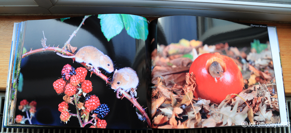 My Photography Book - 8th Edition