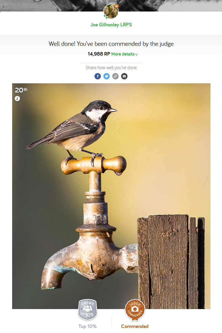 Taps and Faucets - Photocrowd Competition