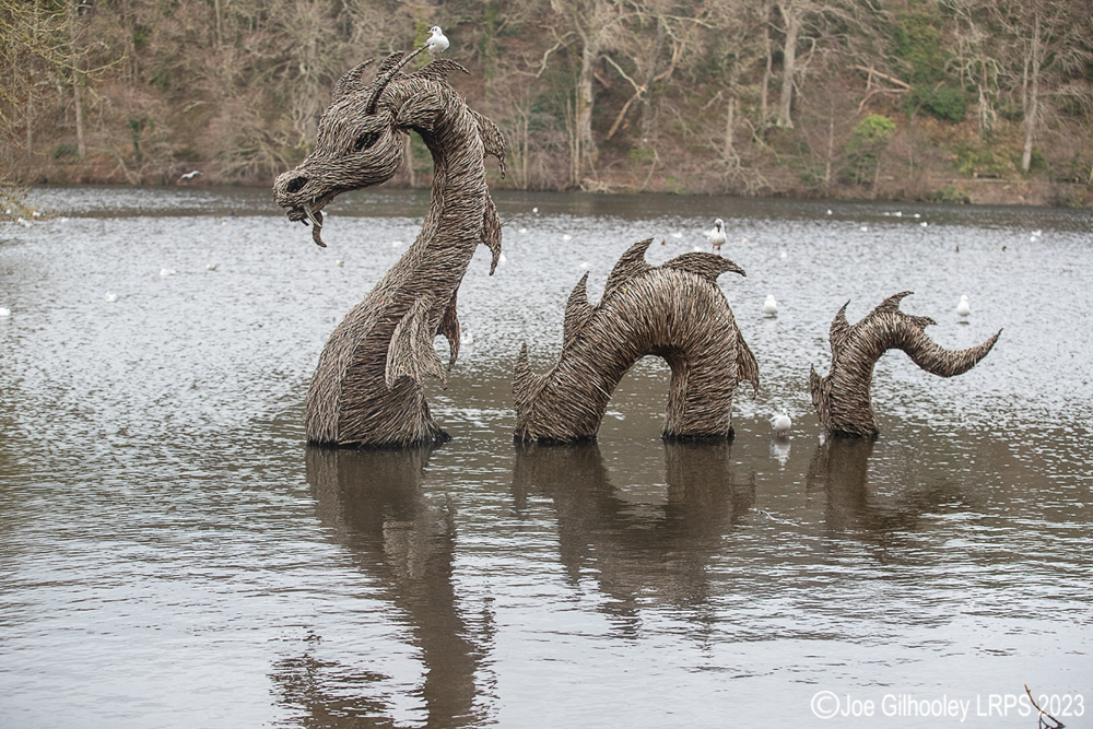 Culzean Castle - Swan Pond