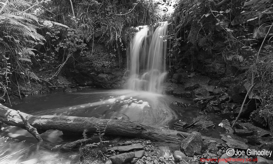 Hidden Waterfall Dryden Woods