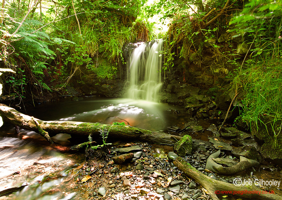 Hidden Waterfall Dryden Woods