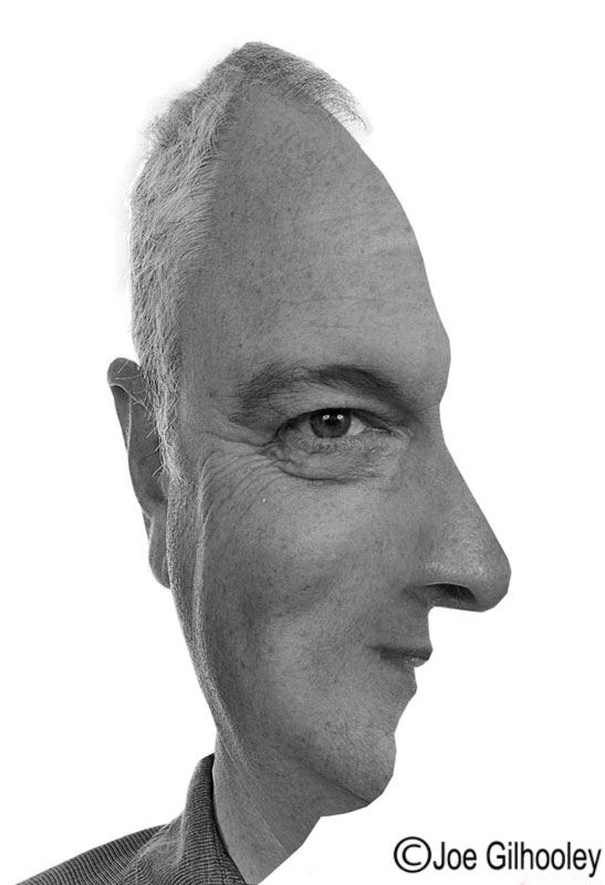 Face illusion