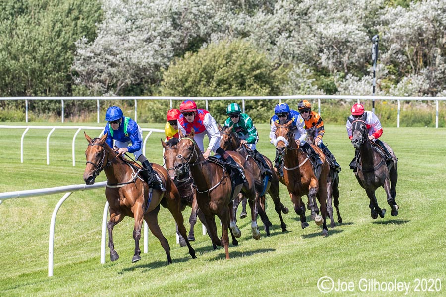 Musselburgh Horseracing