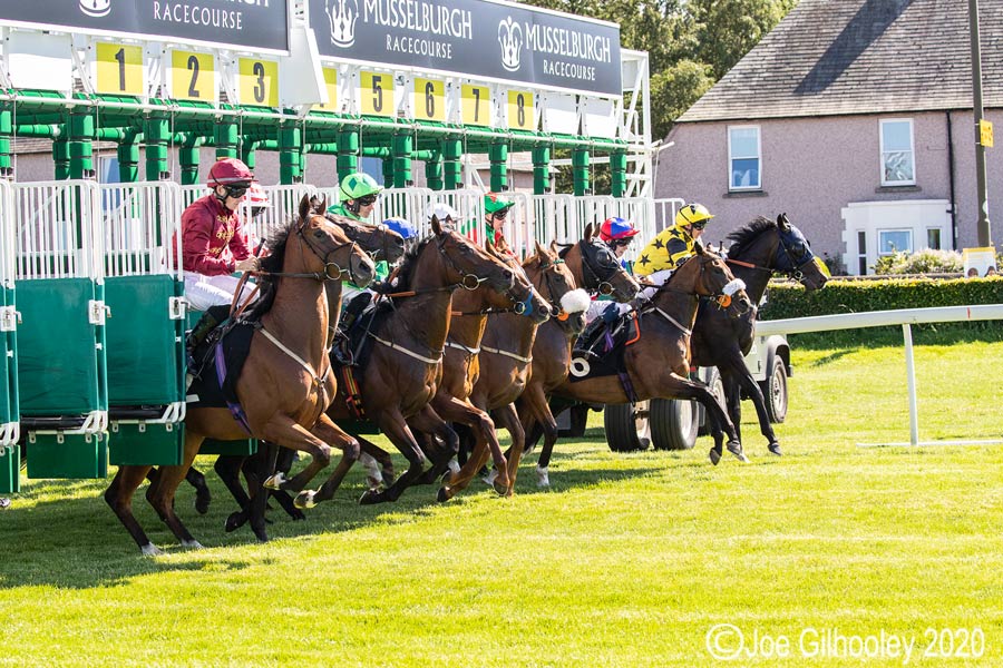 Musselburgh Horseracing
