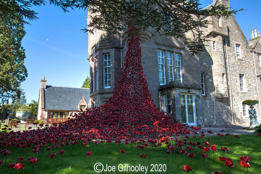 Weeping Poppies Blackwatch Museum Perth