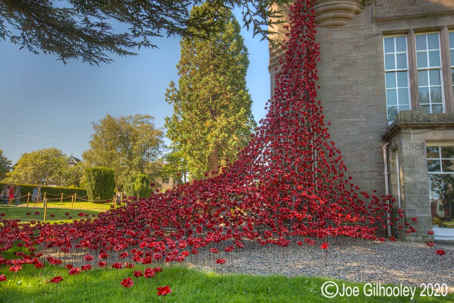 Weeping Poppies Blackwatch Museum Perth