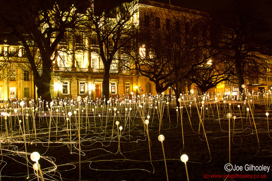 St Andrew Square - Field of Light - Tuesday 4th February 2014
