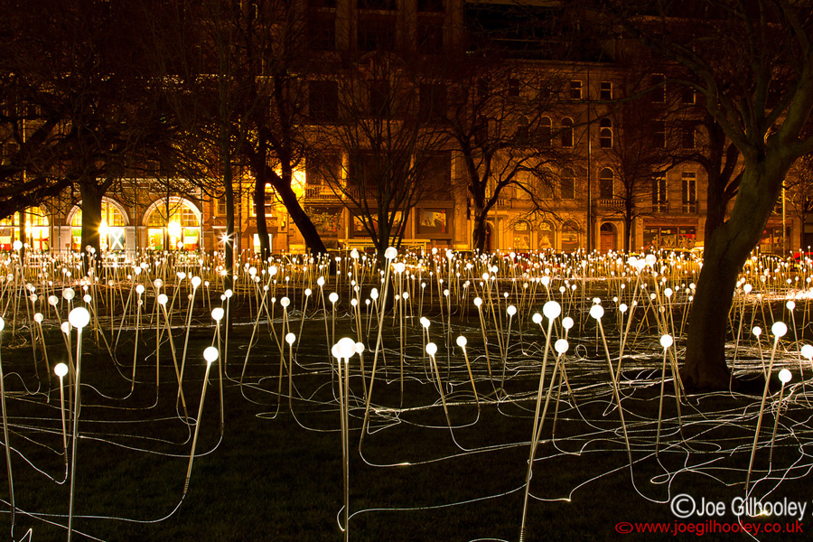 St Andrew Square - Field of Light - Tuesday 4th February 2014