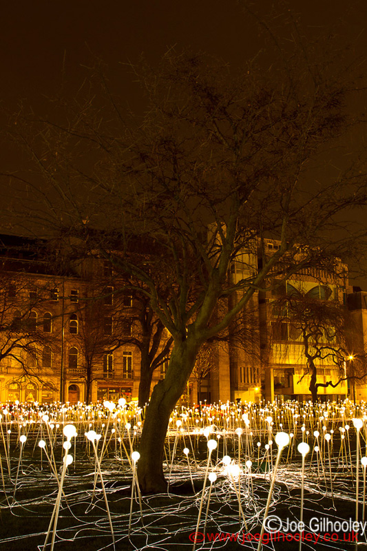 St Andrew Square - Field of Light - Tuesday 4th February 2014
