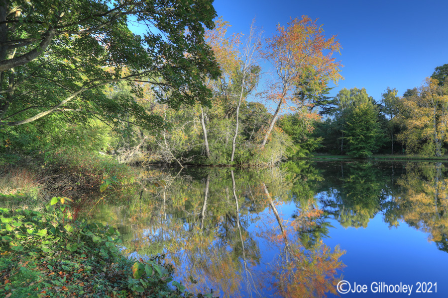 Gosford Estate East Lothian