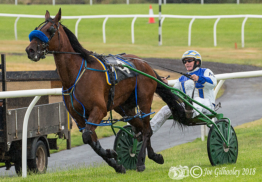 Harness Racing at Musselburgh Racecourse Harness Racing at Musselburgh Racecourse