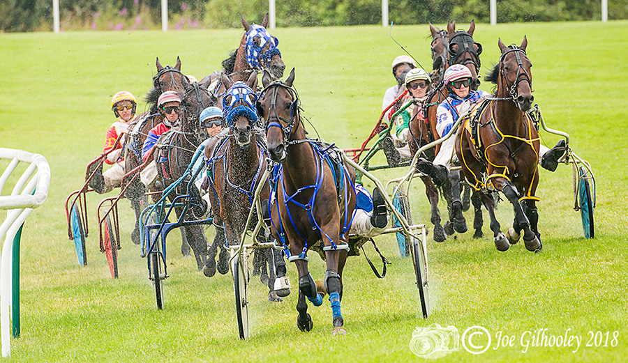 Harness Racing at Musselburgh Racecourse Harness Racing at Musselburgh Racecourse - Third race in the rain. Lots of spray from wheels